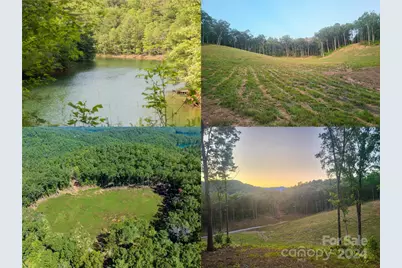 Tbd Old Yellow Circle Road, Robbinsville, NC 28771 - Photo 1