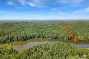 Lot #1 Goings Rd, Chester, SC 29706 - Photo 1