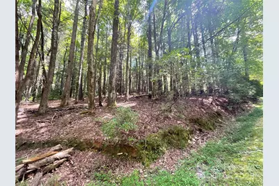 406 Tlvdatsi Drive, Brevard, NC 28712 - Photo 1