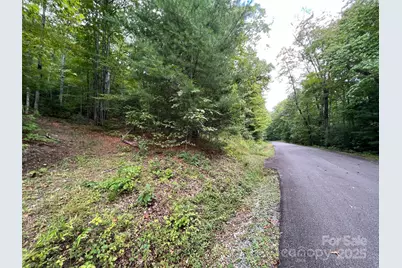 124 Green Hollow Lane, Brevard, NC 28712 - Photo 1