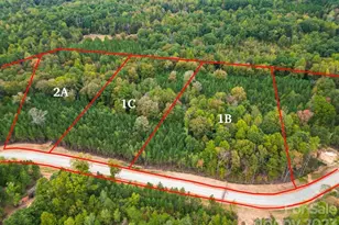 1B Hidden Forest Dr, Denver, NC 28037 - Photo 1