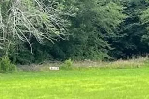 0 Cull Williams Ln, Indian Trail, NC 28079 - Photo 1