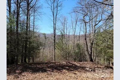 000 Elise Way #Lot 7, Waynesville, NC 28785 - Photo 1