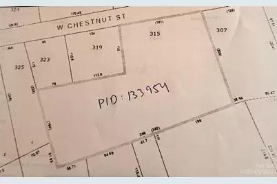 315 W Chestnut Street, Stanley, NC 28164 - Photo 1