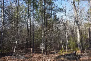 Lot 74 Tayberry Dr, Nebo, NC 28761 - Photo 1