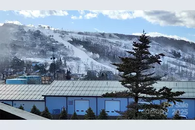 301 Pinnacle Inn Road #2306, Beech Mountain, NC 28604 - Photo 1