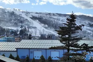 301 Pinnacle Inn Rd, Beech Mountain, NC 28604 - Photo 1