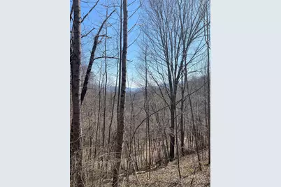 000 Trotters Trail, Waynesville, NC 28785 - Photo 1