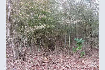 000 Valentine Street, Flat Rock, NC 28731 - Photo 1
