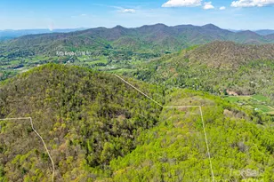 99999 Ox Crk Rd, Weaverville, NC 28787 - Photo 1