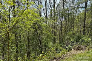 15 Waxwing Wy, Asheville, NC 28804 - Photo 1