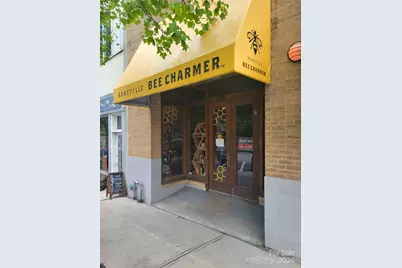 38 Battery Park Avenue, Asheville, NC 28801 - Photo 1