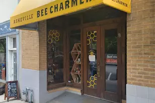 38 Battery Park Ave, Asheville, NC 28801 - Photo 1