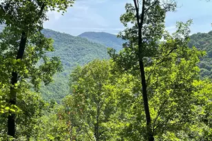 Lt 241 Down The Hill Rd, Sylva, NC 28779 - Photo 1