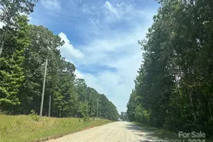197 Hard Rock Rd, Winnsboro, SC 29180 - Photo 1