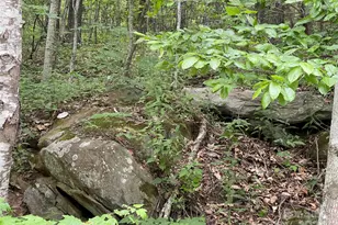 0000 Lytle Cove Rd, Swannanoa, NC 28778 - Photo 1