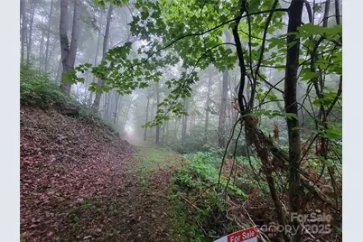 2100 Chambers Mountain Road, Clyde, NC 28721 - Photo 1