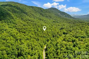 0 Buffalo Creek Rd, Lake Lure, NC 28746 - Photo 1