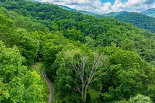 99999 Solitude Rdg, Swannanoa, NC 28778 - Photo 1