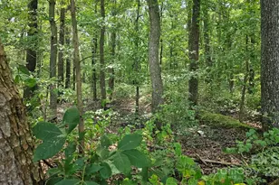 1450 Pork Rd, Peachland, NC 28133 - Photo 1