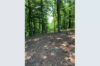 Lot 201 Meadow Crossing Lane, McGrady, NC 28649 - Photo 1