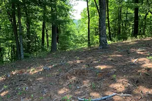 Lot 201 Meadow Crossing Ln, McGrady, NC 28649 - Photo 1