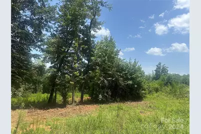 1850 Furnace Road Extension, Lincolnton, NC 28092 - Photo 1