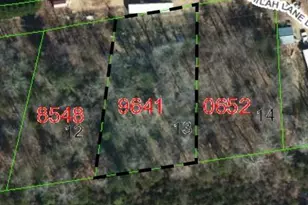 Tbd Biggerstaff Loop, Nebo, NC 28761 - Photo 1