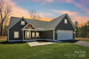 40 Haywood Pk Dr, Hendersonville, NC 28791 - Photo 1