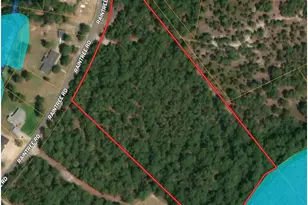 00 Raintree Rd, Hamlet, NC 28345 - Photo 1