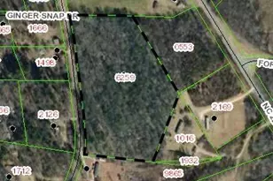 5050 Walker Rd, Nebo, NC 28761 - Photo 1