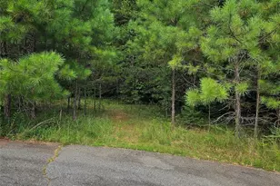 0 Pumkin Patch None, Rutherfordton, NC 28139 - Photo 1