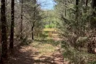 0 Ingold School Rd, Albemarle, NC 28001 - Photo 1