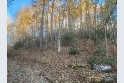 000 Stamey Branch Road, Newland, NC 28657 - Photo 1