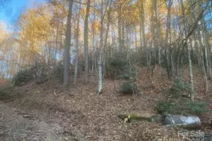 000 Stamey Branch Rd, Newland, NC 28657 - Photo 1