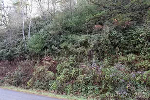 Tbd Stamey Creek Rd, Brevard, NC 28712 - Photo 1