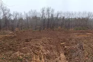 207 Ridge Creek Dr, Troutman, NC 28166 - Photo 1