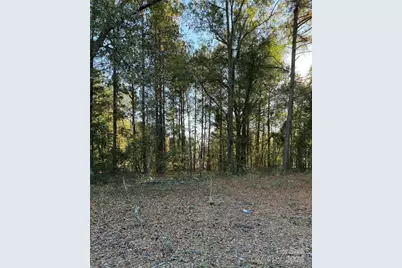 2935 Jackson Road, Chesterfield, SC 29709 - Photo 1