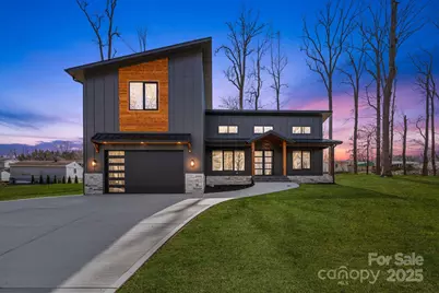 41 Scott Meadows Drive, Asheville, NC 28806 - Photo 1