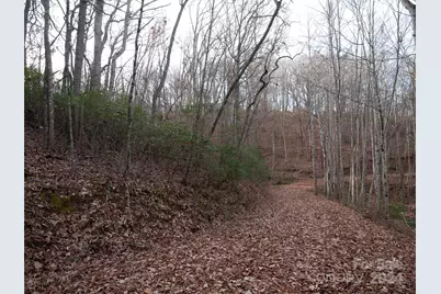 000 Beacon Rock Lane #Lot 211, Waynesville, NC 28786 - Photo 1