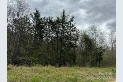 00 Dudley Church Road, Pageland, SC 29728 - Photo 1