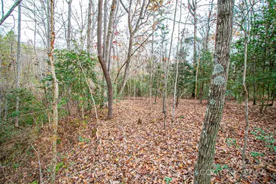0 New Covenant Way, Ellenboro, NC 28040 - Photo 1