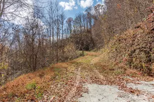 Lot 5 McNary Dr, Clyde, NC 28721 - Photo 1
