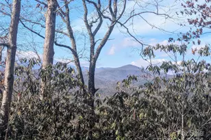 Tbd Top Oaks Ln, Pisgah Forest, NC 28768 - Photo 1