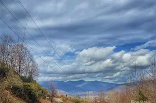 21 Crockett Ridge Rd, Black Mountain, NC 28711 - Photo 1