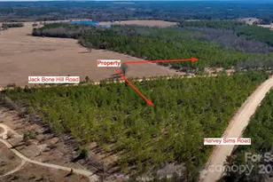 1 Jack Bone Hill Rd, Jefferson, SC 29718 - Photo 1