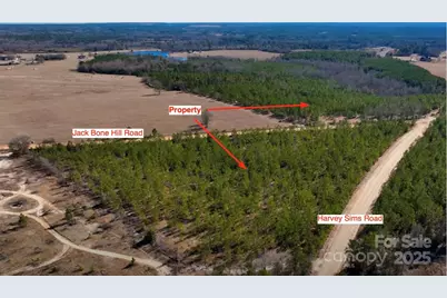 2 Jack Bone Hill Road, Jefferson, SC 29718 - Photo 1