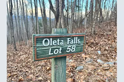 134 Bradley Ascent Court #58, Hendersonville, NC 28792 - Photo 1