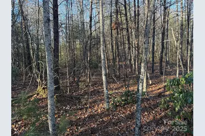 16-16 Waters Edge Drive #16-16, Nebo, NC 28761 - Photo 1