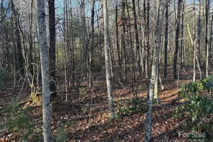 1616 Waters Edge Dr, Nebo, NC 28761 - Photo 1